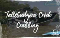 Tallebudgera Creek crabbing
