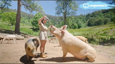 Kookaburra Park | Kenilworth